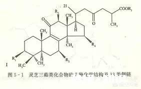 为什么灵芝有抗癌的功效