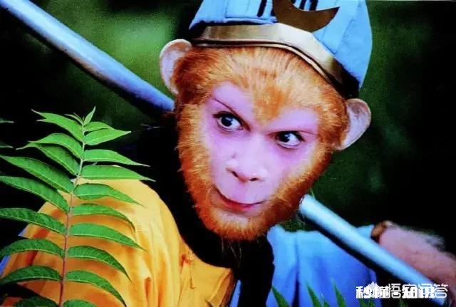 孙悟空做过的职业有什么