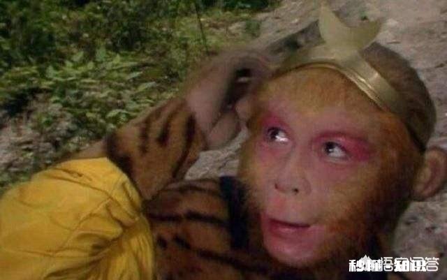 孙悟空做过的职业有什么