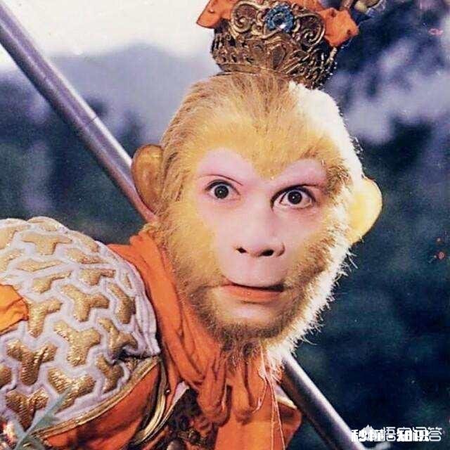 孙悟空做过的职业有什么