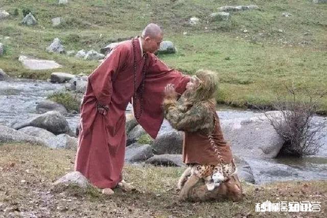 孙悟空做过的职业有什么