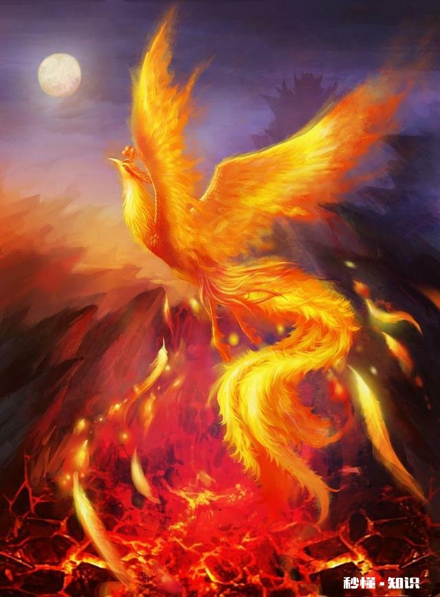 上联：满道金光飞彩凤，如何对下联