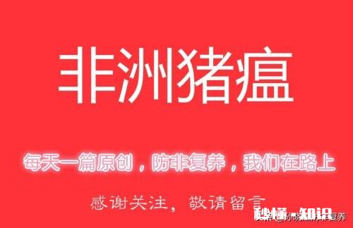 非洲猪瘟可以自制疫苗吗