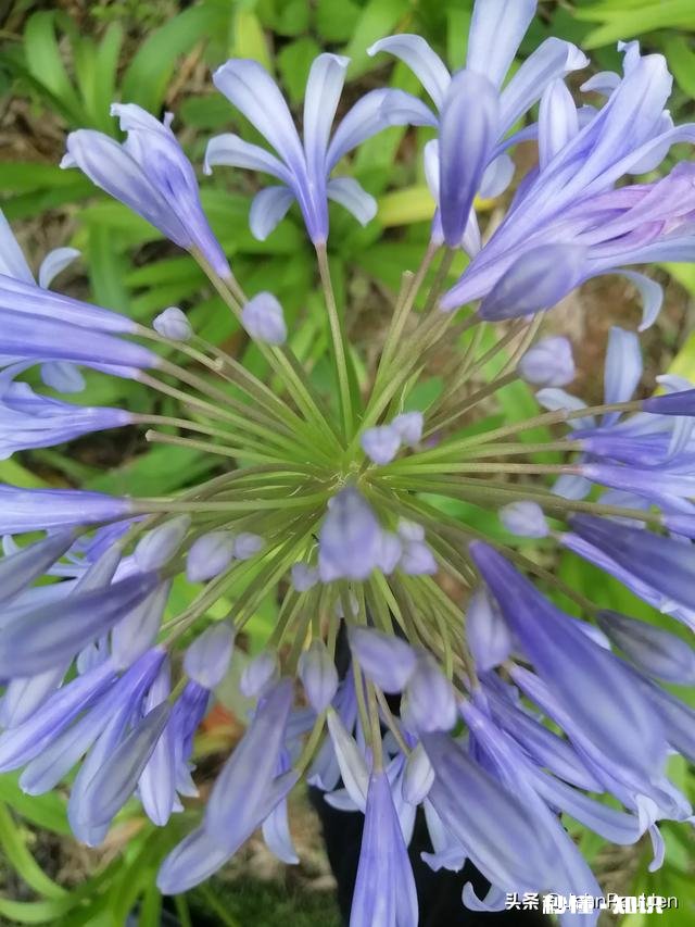 员工的能动性和主观责任感怎么培养