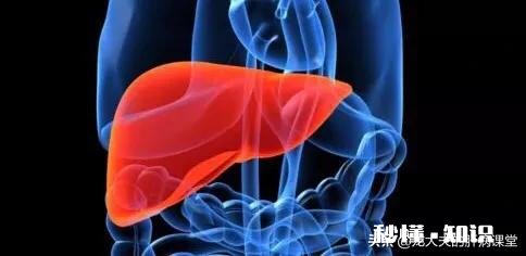 为什么说90后是肝癌的高危人群具体有哪些因素