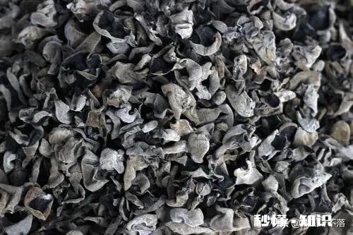 泡干木耳多长时间合适