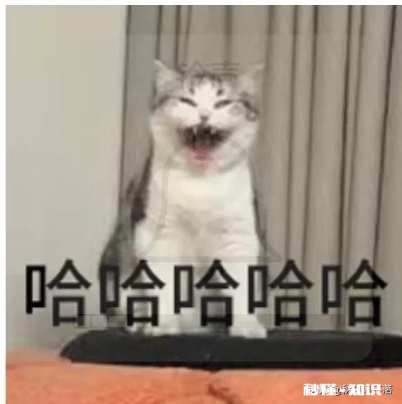 泡干木耳多长时间合适