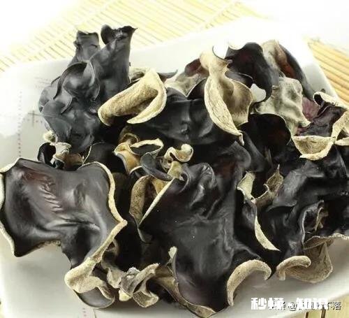 泡干木耳多长时间合适