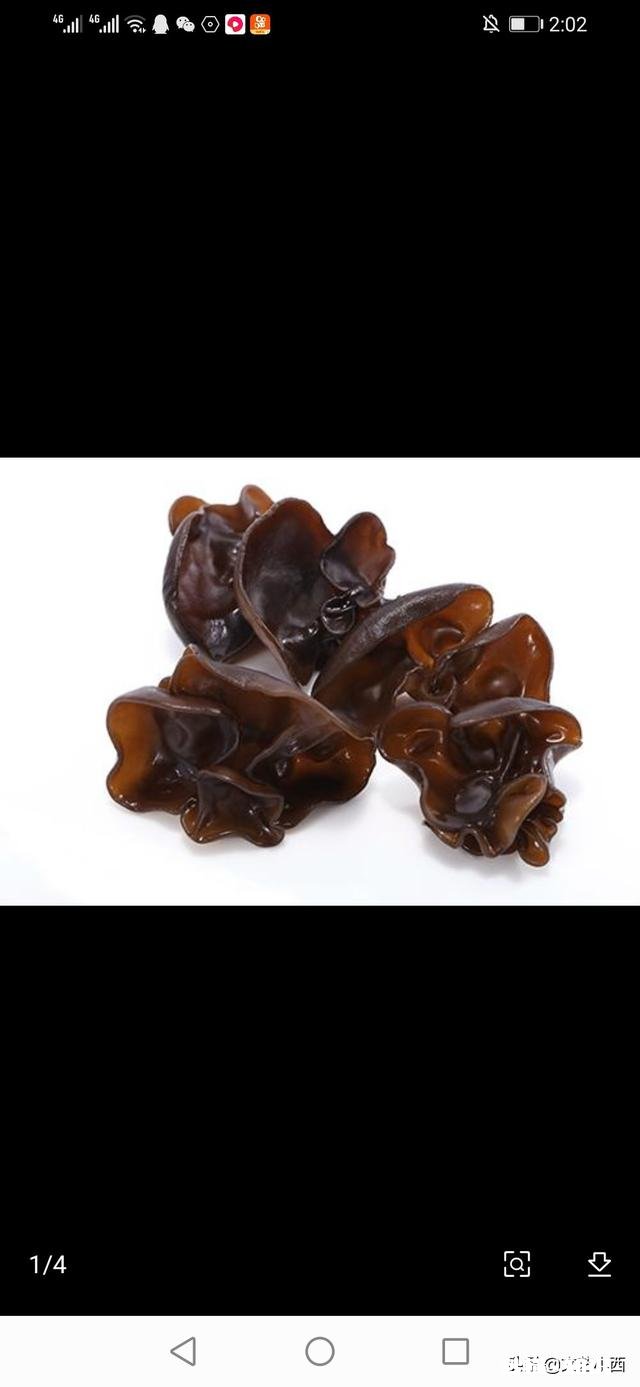 泡干木耳多长时间合适