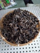 泡干木耳多长时间合适