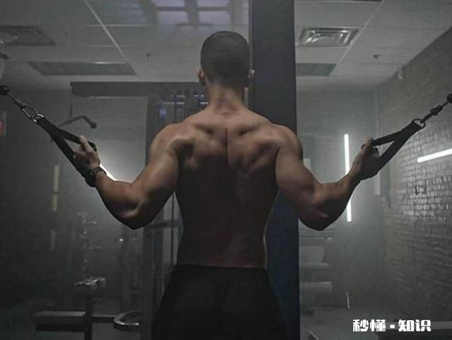 为什么中国肌肉男普遍练不大