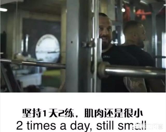 为什么中国肌肉男普遍练不大