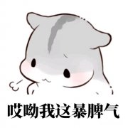 微团商城是传销的另一种形式吗