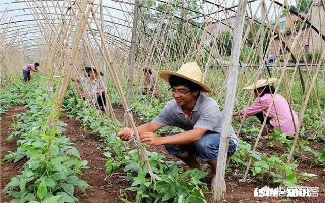 为什么农村四五十岁男人进城找工作越来越难呢