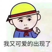 创业什么行业比较赚钱