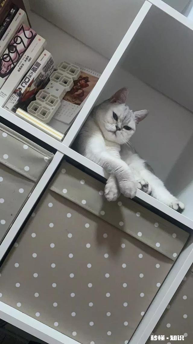 喝茶之后，你身上发生的最大的改变是什么