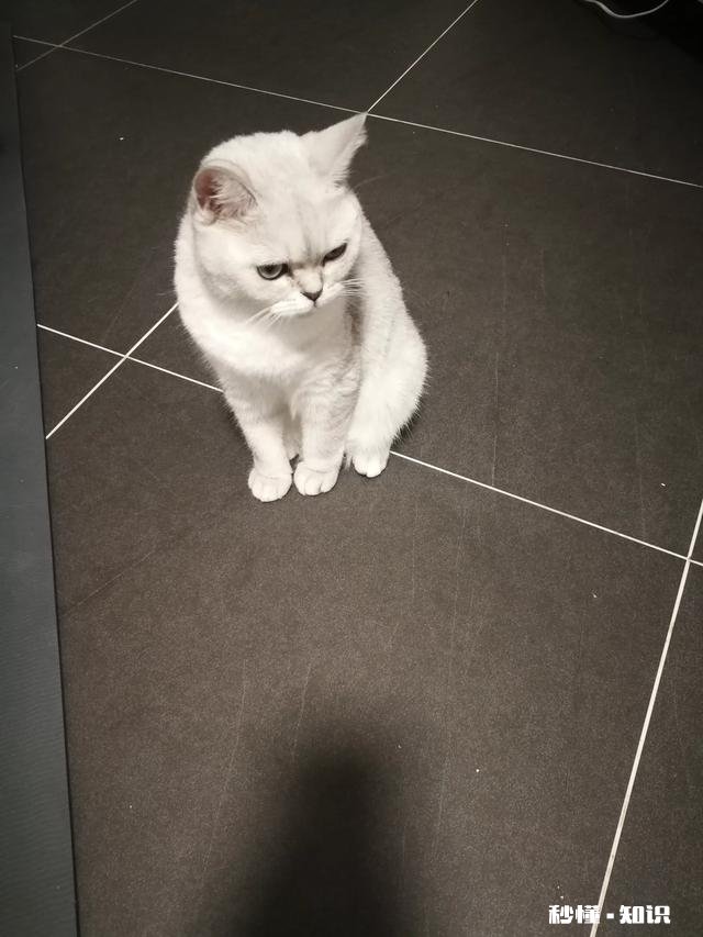 喝茶之后，你身上发生的最大的改变是什么