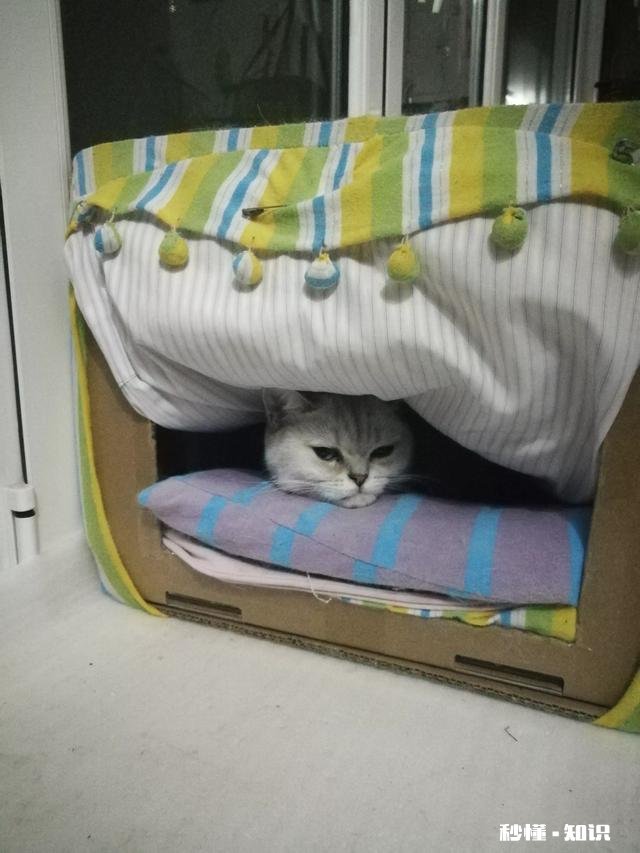 喝茶之后，你身上发生的最大的改变是什么