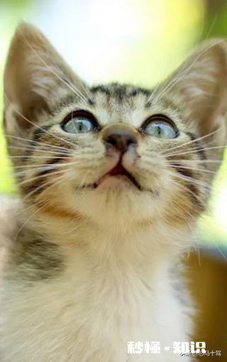 相亲认识的女孩子，还没有见面，怎么能增进好感