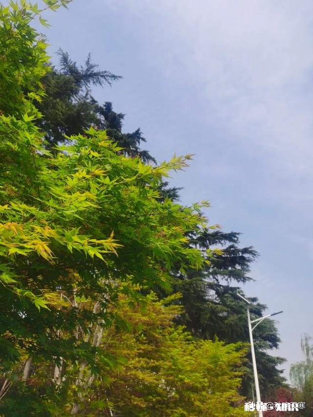 做自媒体以来，你们有没有体会过来自陌生人给的温暖