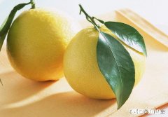 农村果子赶早摘，烂了口碑和市场，这个锅该谁来背