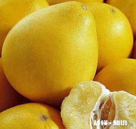 农村果子赶早摘，烂了口碑和市场，这个锅该谁来背