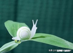 为什么没钱，怎么做才会变好