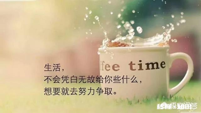 活了这么久，最让你后悔的是什么现在的你是否放下了