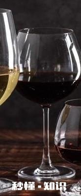 如何挑选正确的葡萄酒杯