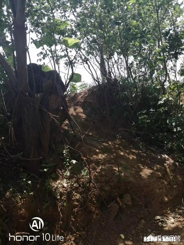 又是一年麦收时，农村的老师们谁有下水诗文拿出来晒一晒