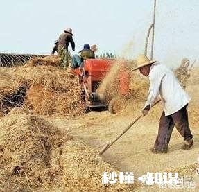 又是一年麦收时，农村的老师们谁有下水诗文拿出来晒一晒