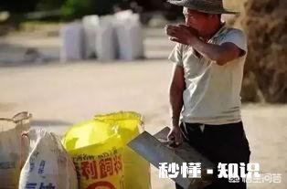 又是一年麦收时，农村的老师们谁有下水诗文拿出来晒一晒