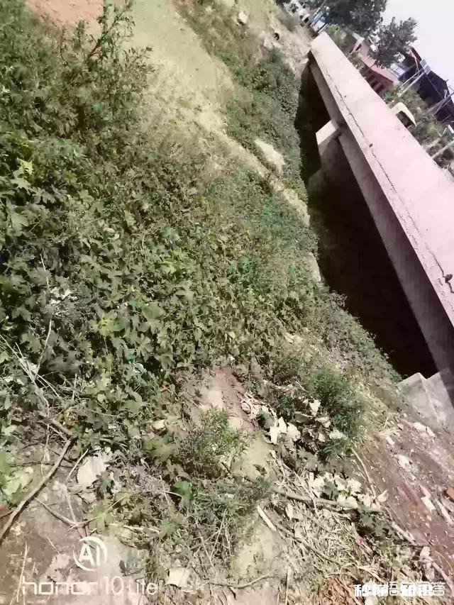 又是一年麦收时，农村的老师们谁有下水诗文拿出来晒一晒