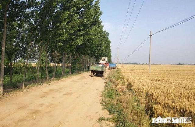 又是一年麦收时，农村的老师们谁有下水诗文拿出来晒一晒