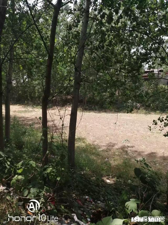 又是一年麦收时，农村的老师们谁有下水诗文拿出来晒一晒