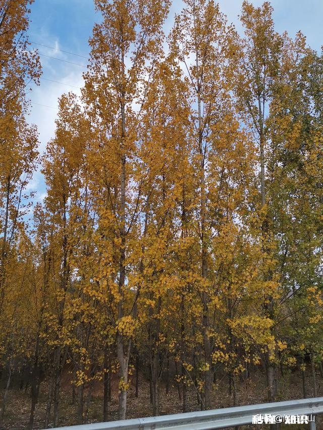 面对亲人朋友同学的妒忌怎么应对，感觉人与人之间都是自私的