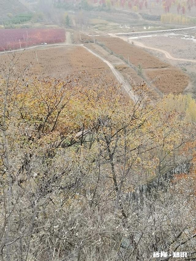 面对亲人朋友同学的妒忌怎么应对，感觉人与人之间都是自私的