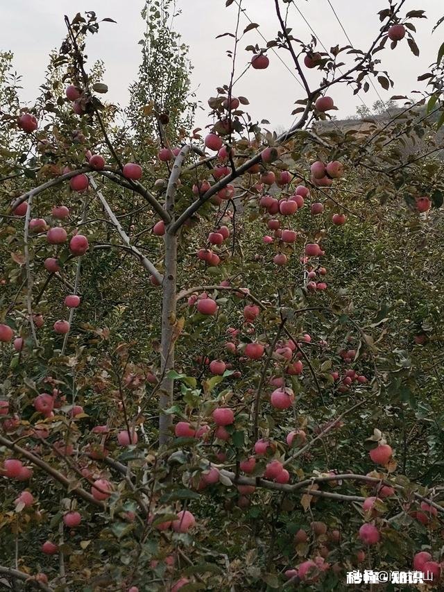 面对亲人朋友同学的妒忌怎么应对，感觉人与人之间都是自私的