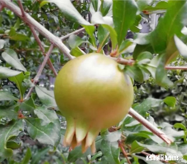 有些无耻的人在火车上强行占座涉嫌寻衅滋事罪吗，你怎么看