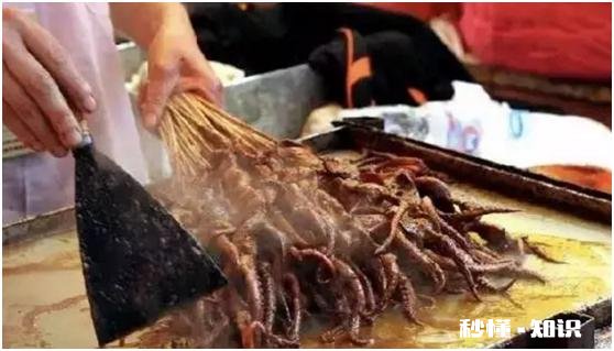 长春有热闹的夜市吗