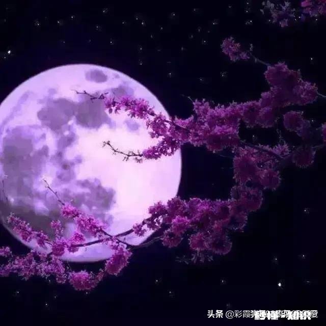 从2017到2019,时光悄悄溜走,你们都有啥变化