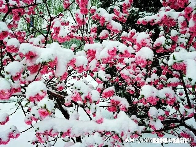 从2017到2019,时光悄悄溜走,你们都有啥变化