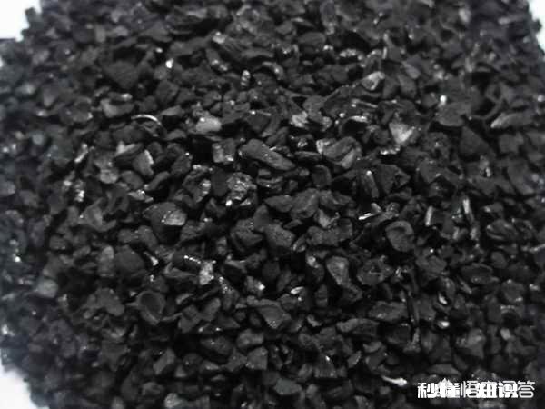 活性炭能养月季吗，注意什么