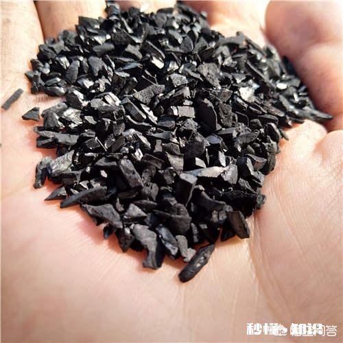 活性炭能养月季吗，注意什么