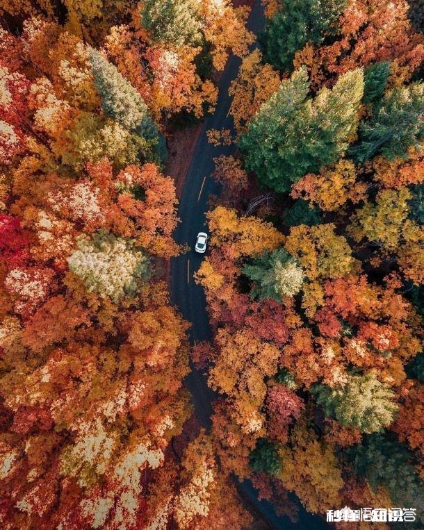 如果你一个人走在回家的路上，你会想些什么