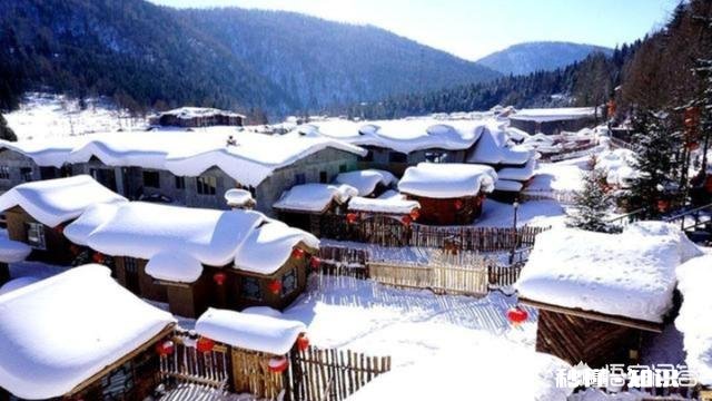 今冬麦盖三层被，来年枕着馒头睡，豫西迎来了第一场雪，农民高兴啊！你那里下雪了吗