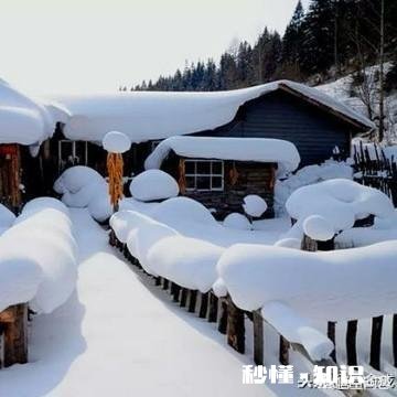 今冬麦盖三层被，来年枕着馒头睡，豫西迎来了第一场雪，农民高兴啊！你那里下雪了吗