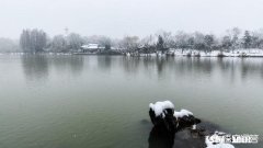 今冬麦盖三层被，来年枕着馒头睡，豫西迎来了第一场雪，农民高兴啊！你那里下雪了吗