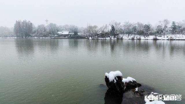 今冬麦盖三层被，来年枕着馒头睡，豫西迎来了第一场雪，农民高兴啊！你那里下雪了吗