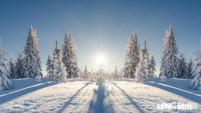 今冬麦盖三层被，来年枕着馒头睡，豫西迎来了第一场雪，农民高兴啊！你那里下雪了吗